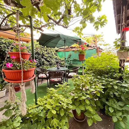 Апартамент За Гости Палазови * Sozopol